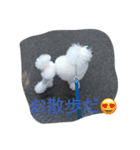 日常02（個別スタンプ：7）