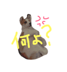 oira katameken（個別スタンプ：3）