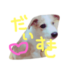 oira katameken（個別スタンプ：8）