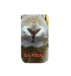 我が家のこたろう（個別スタンプ：3）