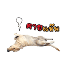 Moo-Auan（個別スタンプ：9）