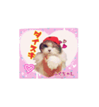 仲良しにゃんこ達♡（個別スタンプ：5）