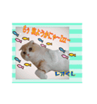 仲良しにゃんこ達♡（個別スタンプ：15）