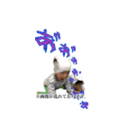 便利なひと押し。2（個別スタンプ：37）