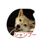 菜々の日常～その1（個別スタンプ：1）