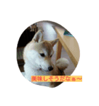 菜々の日常～その1（個別スタンプ：5）