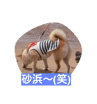 菜々の日常～その1（個別スタンプ：8）