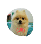 momoringo1（個別スタンプ：4）