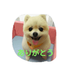 momoringo1（個別スタンプ：7）