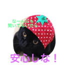 わんにゃんライフ（個別スタンプ：2）