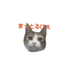 備後弁のみこちゃん（個別スタンプ：1）