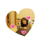 なっち大好きスタンプ（個別スタンプ：1）