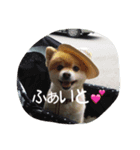 なっち大好きスタンプ（個別スタンプ：2）