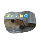 なっち大好きスタンプ（個別スタンプ：4）