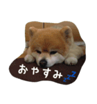 なっち大好きスタンプ（個別スタンプ：6）