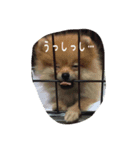 なっち大好きスタンプ（個別スタンプ：8）