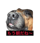 レオ＆弁慶＆我来也（個別スタンプ：1）