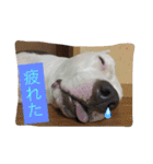 レオ＆弁慶＆我来也（個別スタンプ：4）