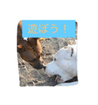レオ＆弁慶＆我来也（個別スタンプ：9）