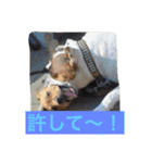 レオ＆弁慶＆我来也（個別スタンプ：13）