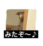 レオ＆弁慶＆我来也（個別スタンプ：15）