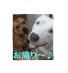 レオ＆弁慶＆我来也（個別スタンプ：24）
