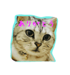 ポコマリ（個別スタンプ：10）