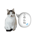 リリロン（個別スタンプ：4）