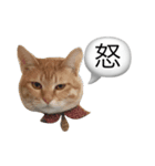 リリロン（個別スタンプ：5）