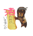 さすけの日常（個別スタンプ：12）