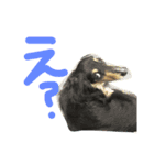 さすけの日常（個別スタンプ：14）