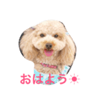 気ままなここにゃん 第1弾（個別スタンプ：1）
