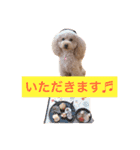 気ままなここにゃん 第1弾（個別スタンプ：2）