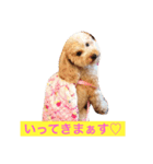 気ままなここにゃん 第1弾（個別スタンプ：4）