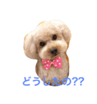 気ままなここにゃん 第1弾（個別スタンプ：6）