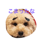 気ままなここにゃん 第1弾（個別スタンプ：7）