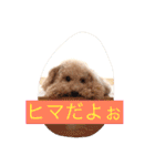 気ままなここにゃん 第1弾（個別スタンプ：12）