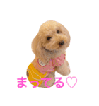 気ままなここにゃん 第1弾（個別スタンプ：14）