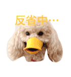 気ままなここにゃん 第1弾（個別スタンプ：16）