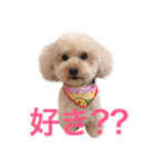 気ままなここにゃん 第1弾（個別スタンプ：18）