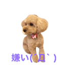気ままなここにゃん 第1弾（個別スタンプ：19）