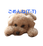 気ままなここにゃん 第1弾（個別スタンプ：20）