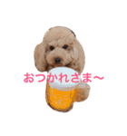 気ままなここにゃん 第1弾（個別スタンプ：21）