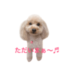 気ままなここにゃん 第1弾（個別スタンプ：23）