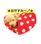 気ままなここにゃん 第1弾（個別スタンプ：24）