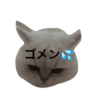 Mii no tubuyaki（個別スタンプ：3）