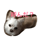 Mii no tubuyaki（個別スタンプ：6）