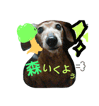 beeens（個別スタンプ：5）