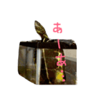 ゆる〜い かめ子。（個別スタンプ：1）