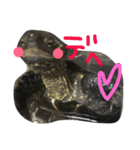 ゆる〜い かめ子。（個別スタンプ：11）